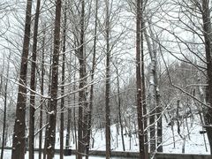 -白水寺森林公园
