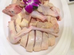 -欢乐海岸美食联盟