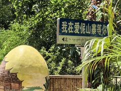 -西双版纳原始森林公园