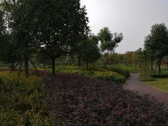 -眉山湿地公园(东坡区)