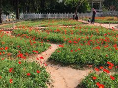 -晓港公园