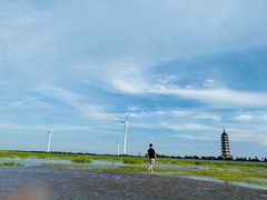 -奉贤海滩