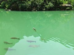 -山西通天峡景区