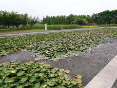 -尚贤河湿地