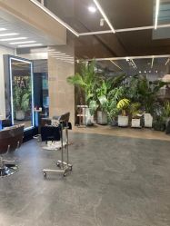 -BOF HAIR BY HONTO