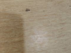 -北京银行(回龙观支行)