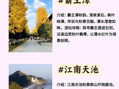 -江南天池