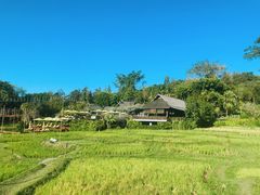 -四季酒店下午茶