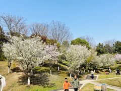 -南山风景名胜区