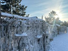 -北极村旅游风景区