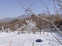 -吉姆冒险世界(蓟州店)