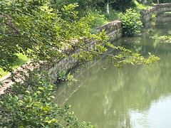 -羊山湖公园