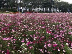-海心沙亚运公园