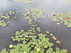 -清溪水库