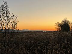 -野鸭湖国家湿地公园