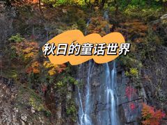 -关门山森林公园