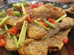 -乡村驴肉馆羊蝎子