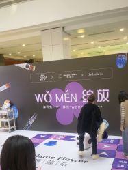点击看大图 -玛莲朵·海菲秀冰珀科