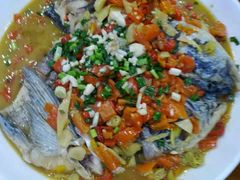 -全乐鱼馆·淳牌有机鱼直营店