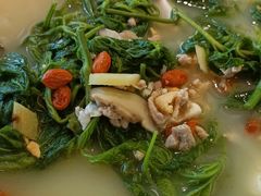 上汤桑叶苗-大榕树下顺德菜(融创茂店)