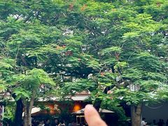 -缘生态云南菜·野生菌庭院餐厅(华侨城店)
