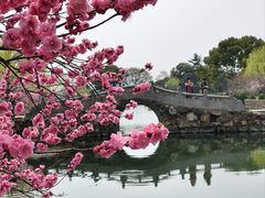 -无锡蠡湖国家湿地公园-蠡园