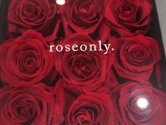 -ROSEONLY诺誓(沈阳万象城店)