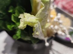 -千味涮·健康火锅(会展连城新天地店)