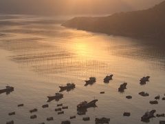 -小皓村