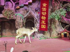 -长鹿旅游休博园