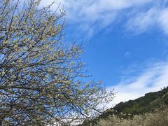 -福建天门山