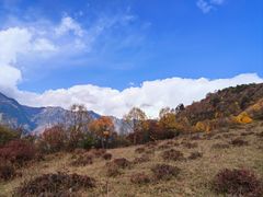 -阿坝州汶川特别旅游区