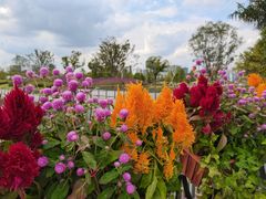 -上海植物园-4号门售票处