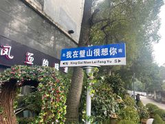 -新概念来凤鱼(璧山店)