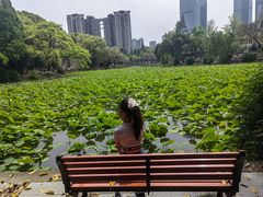-西南交通大学(九里校区)