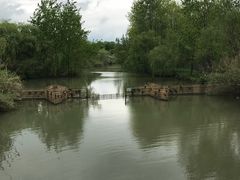 -溱湖国家湿地公园