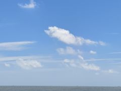 -日照海滨国家森林公园
