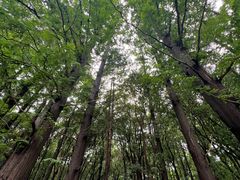 -同里国家湿地公园