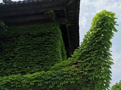 -韩湘水博园