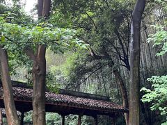 -杭州植物园