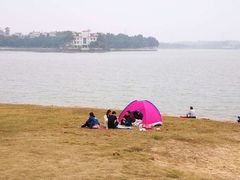 -仙湖旅游度假区