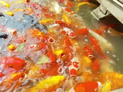 -泰安地下龙宫景区