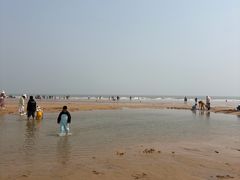 -日照海滨国家森林公园