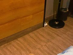 -大桶水·全国旗舰店(体育路店)