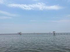 -碧海金沙