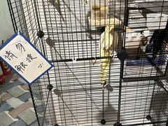 -鬼味烤翅(南锣鼓巷店)