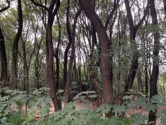 -东湖落雁景区