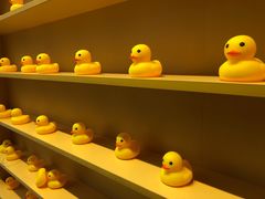 -RU DUCK柯尔鸭公社·撸鸭俱乐部·羊驼·小香猪