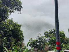 -鼎湖山风景区