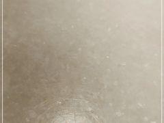 -星巴克臻选(莘庄仲盛店)